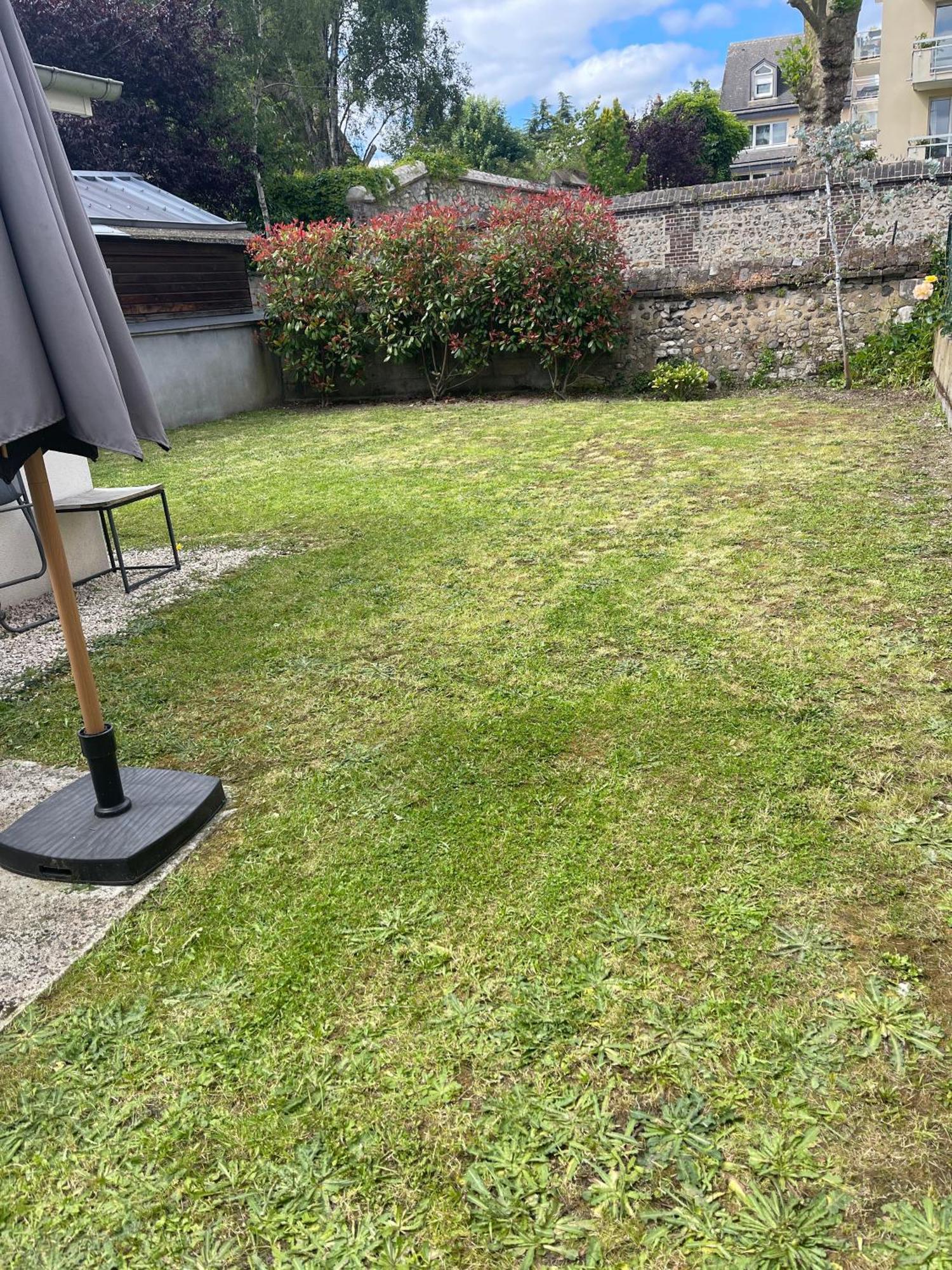 Le Nid Douillet : Superbe Appartement + Jardin Privatif Rouen Buitenkant foto
